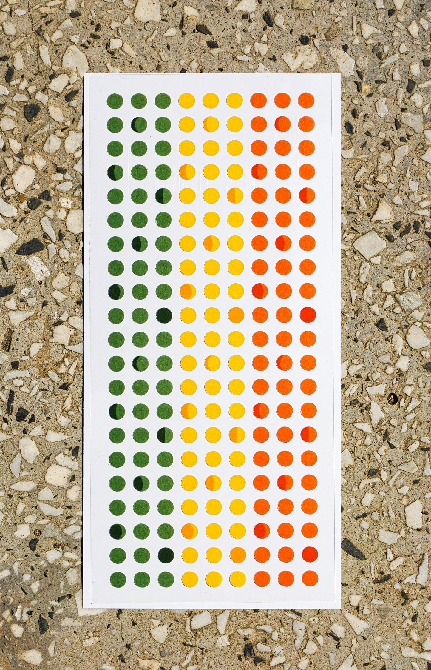 Spring Flower Lunar Dots